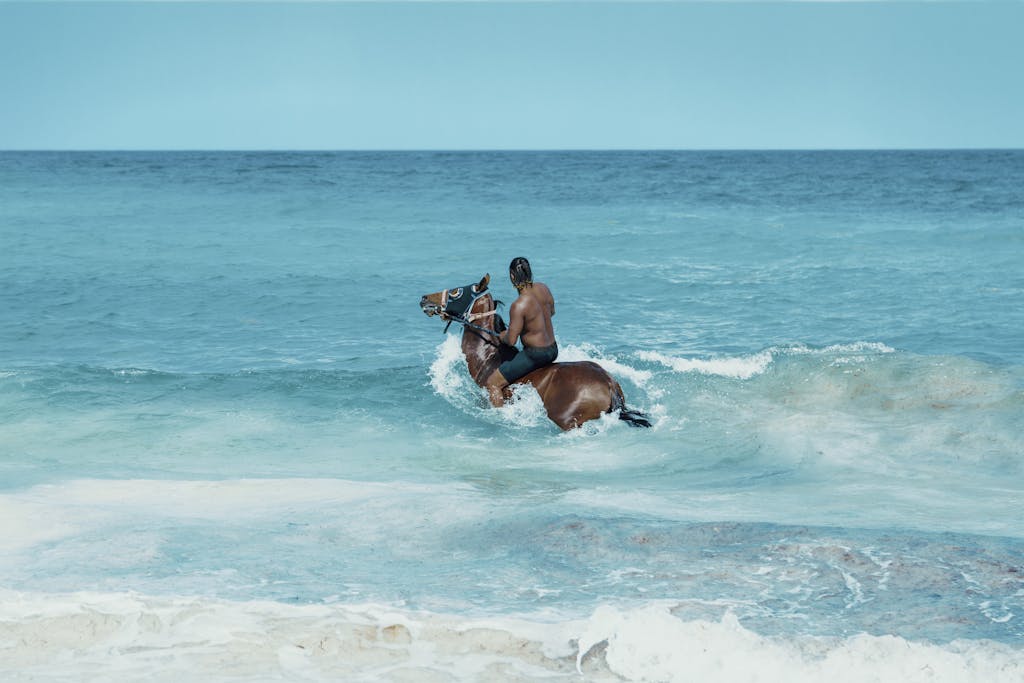 LGBTQ Caribbean Cruise - Photo of Man Riding on Brown Horse on Ocean Water