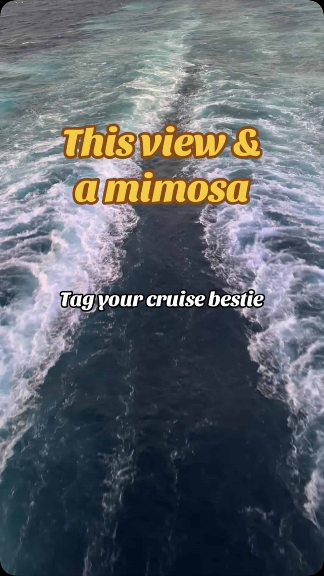 All I really need is a day at sea on a cruise ship.  #cruise #cruiseship #carnaval #royalcaribbean #celebritycruises