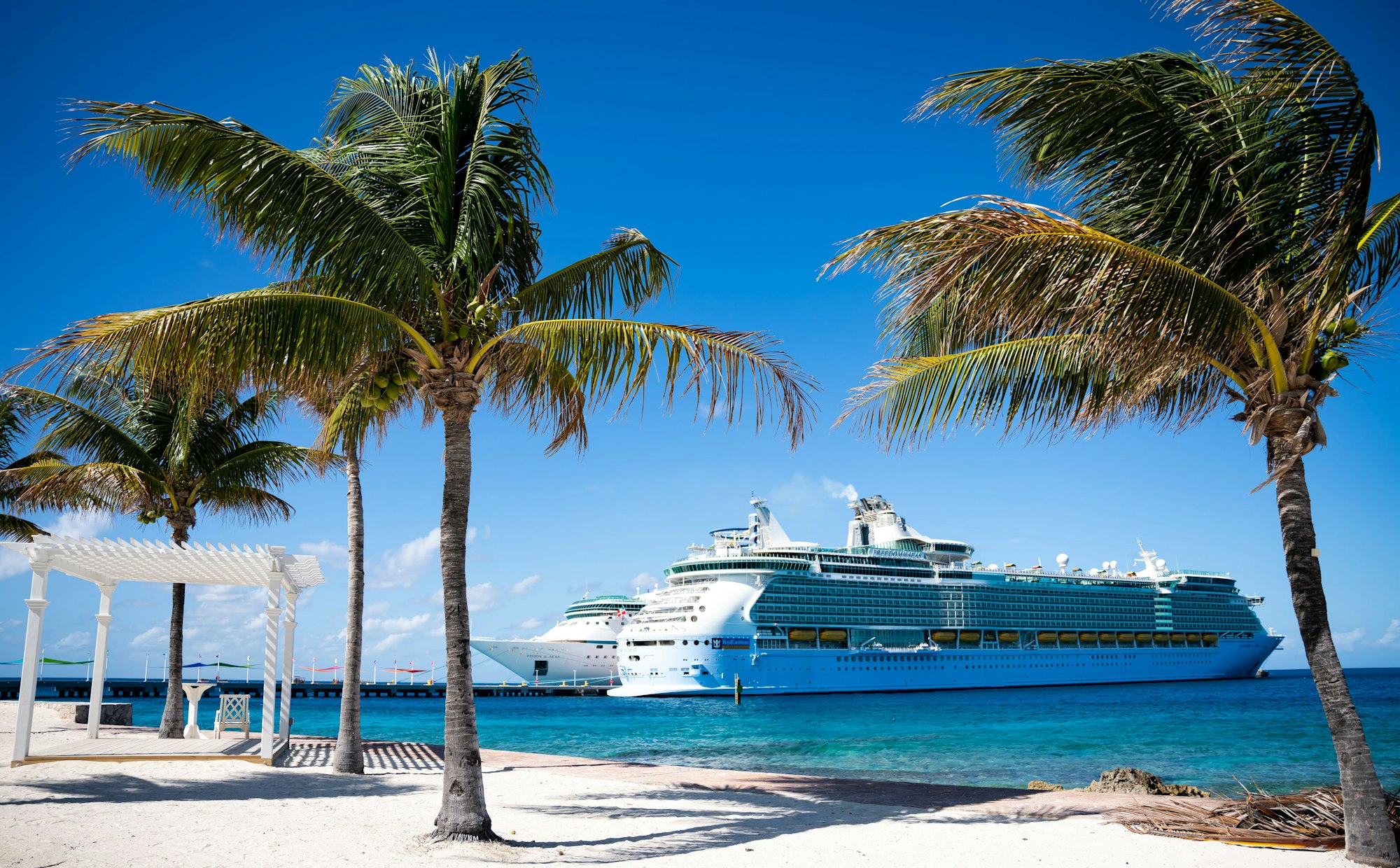 Cruise ship docked beside a palm-lined Caribbean beach - gay cruises for couples